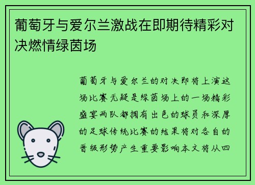 葡萄牙与爱尔兰激战在即期待精彩对决燃情绿茵场