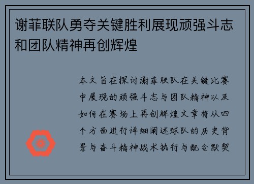 谢菲联队勇夺关键胜利展现顽强斗志和团队精神再创辉煌