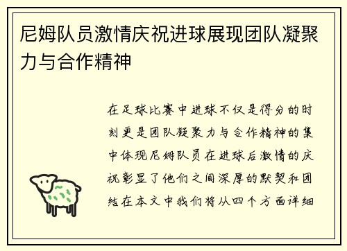 尼姆队员激情庆祝进球展现团队凝聚力与合作精神