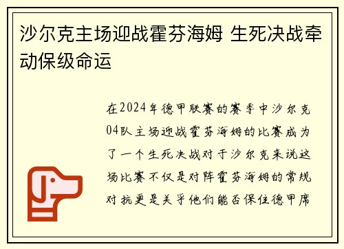 沙尔克主场迎战霍芬海姆 生死决战牵动保级命运