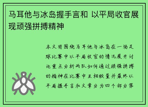 马耳他与冰岛握手言和 以平局收官展现顽强拼搏精神