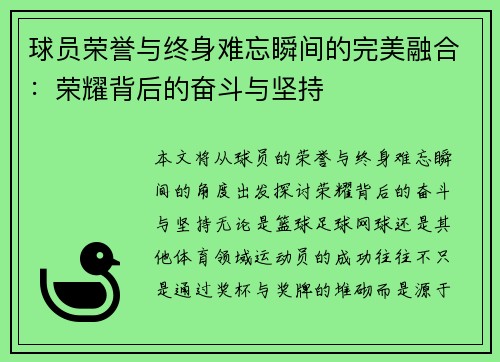 球员荣誉与终身难忘瞬间的完美融合：荣耀背后的奋斗与坚持