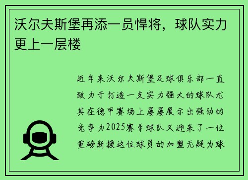 沃尔夫斯堡再添一员悍将，球队实力更上一层楼